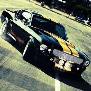 Meet your Posher, Ford